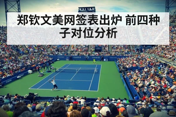 US Open tennis court