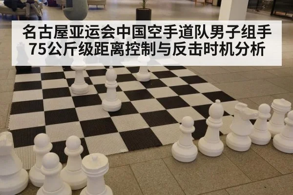 名古屋亚运会中国空手道队男子组手75公斤级距离控制与反击时机分析